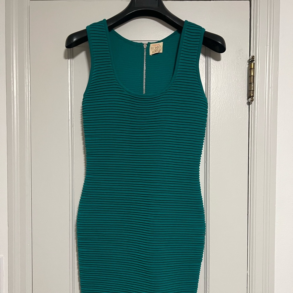 Torn by Ronny kobo bodycon dress size S